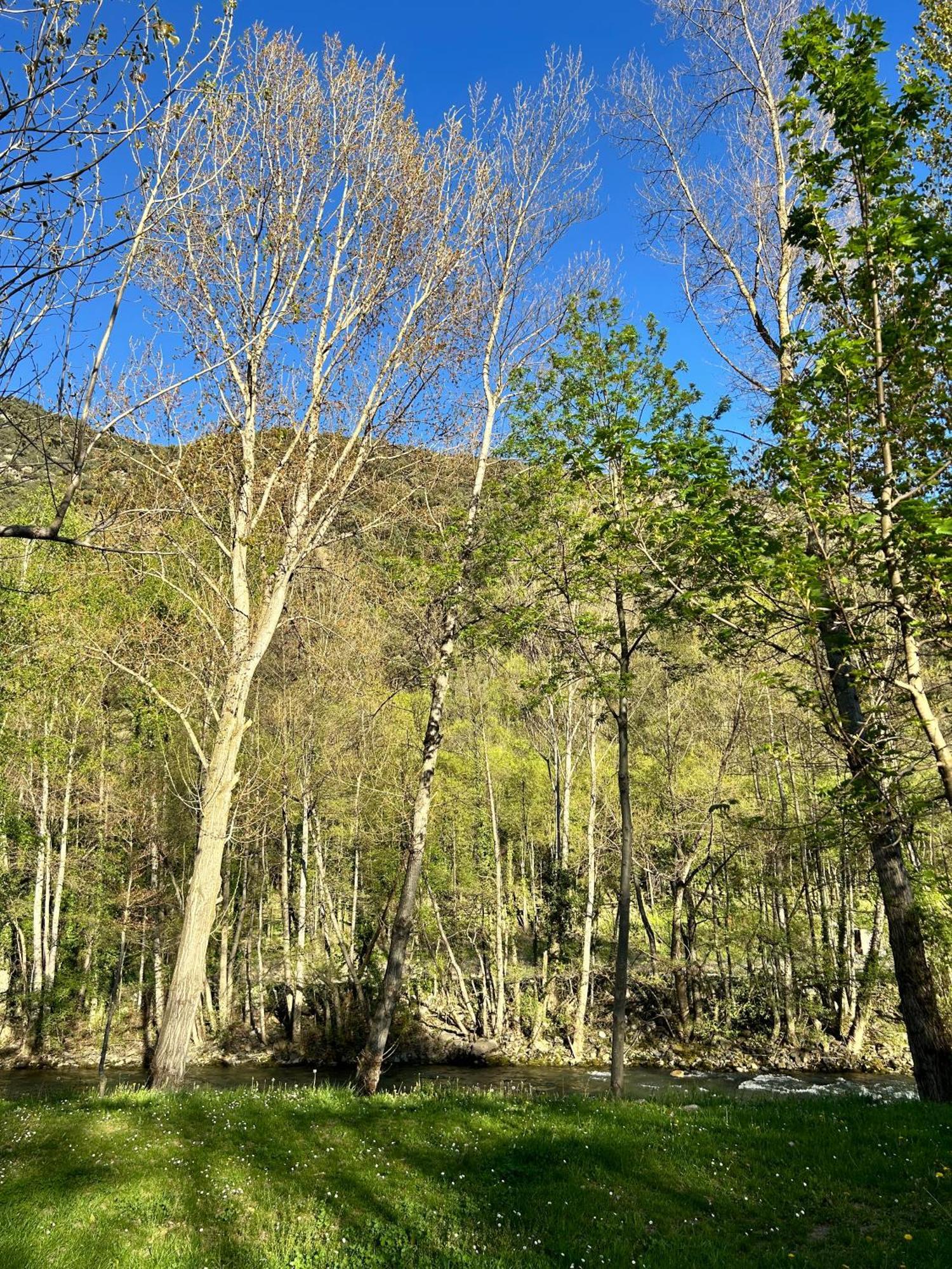 Camping Noguera Pallaresa Sort Esterno foto